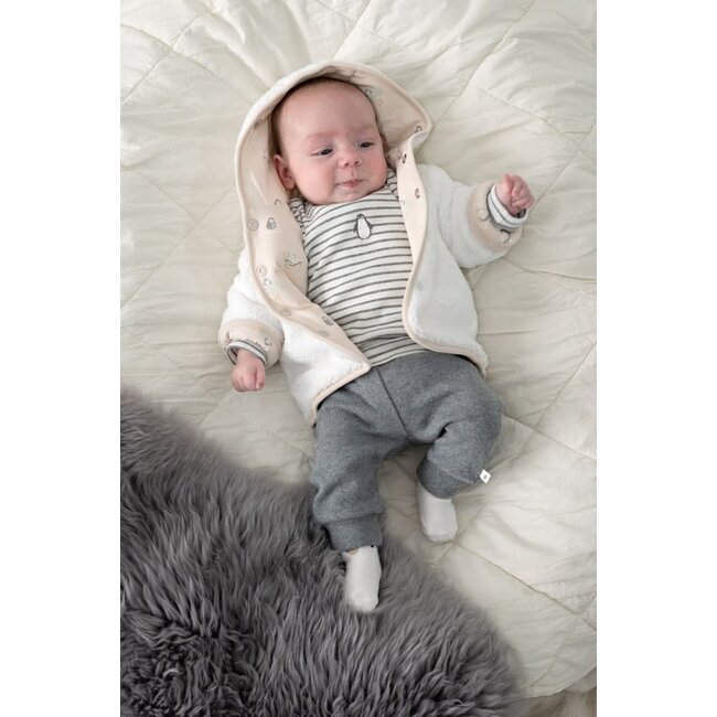 Feetje - Longsleeve Rib met Streep Antraciet Melange - Penguin Cuddles