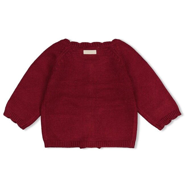 Feetje - Vestje Gebreid Bordeaux - My Little Love
