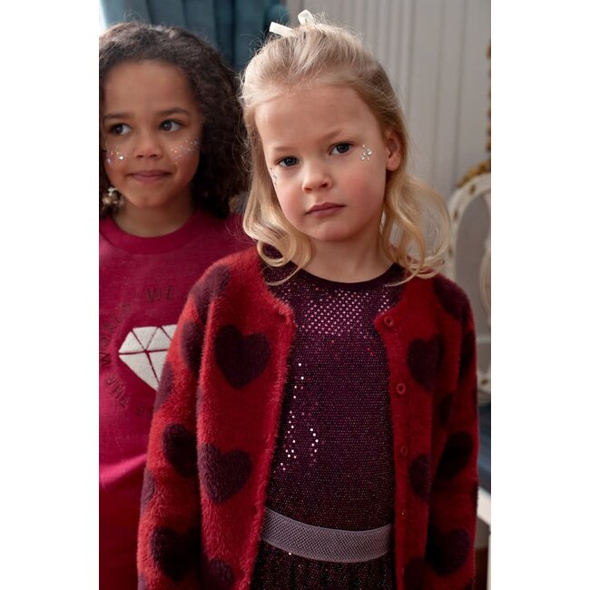 Jubel - Longsleeve Pailetten Bordeaux - Daily Princess