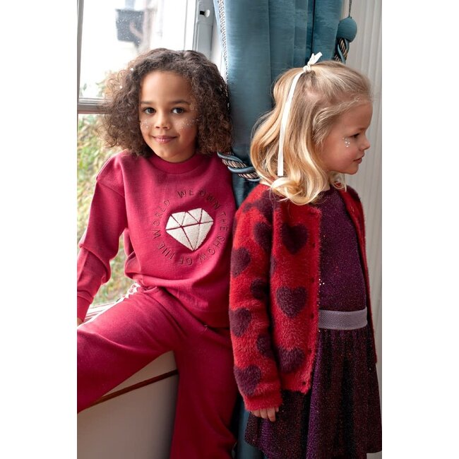 Jubel - Sweater Cerise - Daily Princess