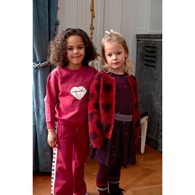 Jubel - Sweater Cerise - Daily Princess