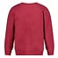 Jubel - Sweater Cerise - Daily Princess