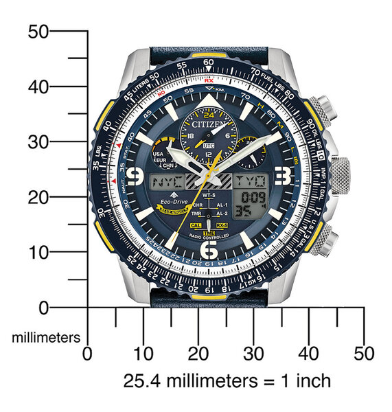 Citizen Citizen JY8078-01L Promaster Sky Blue Angels watch