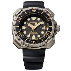 Citizen BN0220-16E Promaster Marine watch