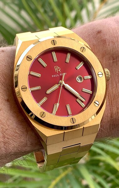 Paul Rich Paul Rich Signature Sultan's Ruby Steel PR68GRS watch 45 mm