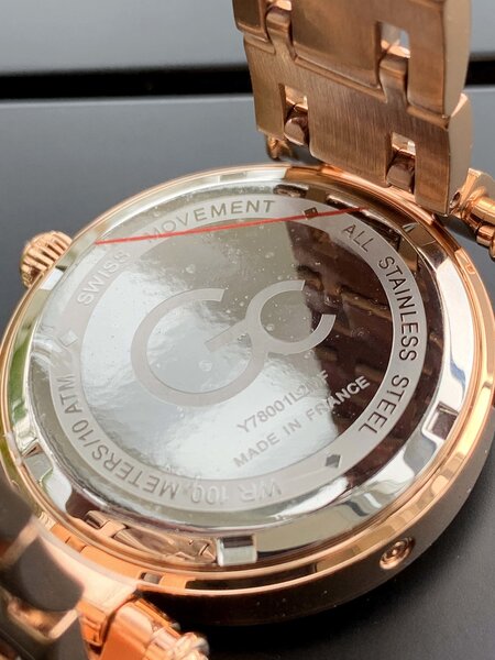 Gc Guess Collection Gc Guess Collection Y78001L2MF PrimeChic ladies watch 36 mm