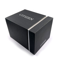 Citizen Citizen AT8234-85L Promaster Sky Funkuhr aus Titan