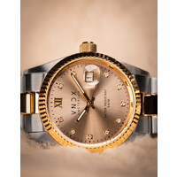 VNDX Amsterdam VNDX Dare Devil M Silver Gold Beige MT43006-04 ladies watch