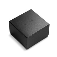 Paul Rich Paul Rich Legacy Rainbow Limited Black LEG01RA watch