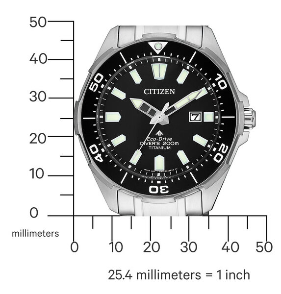 Citizen Citizen BN0200-81E Promaster Marine titanium watch