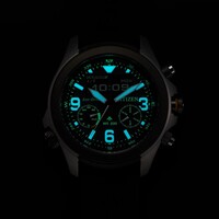 Citizen Citizen JV1005-02W Promaster Land watch