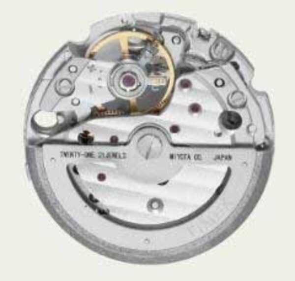 Timex Timex TW2W59200 Marlin Automatic watch