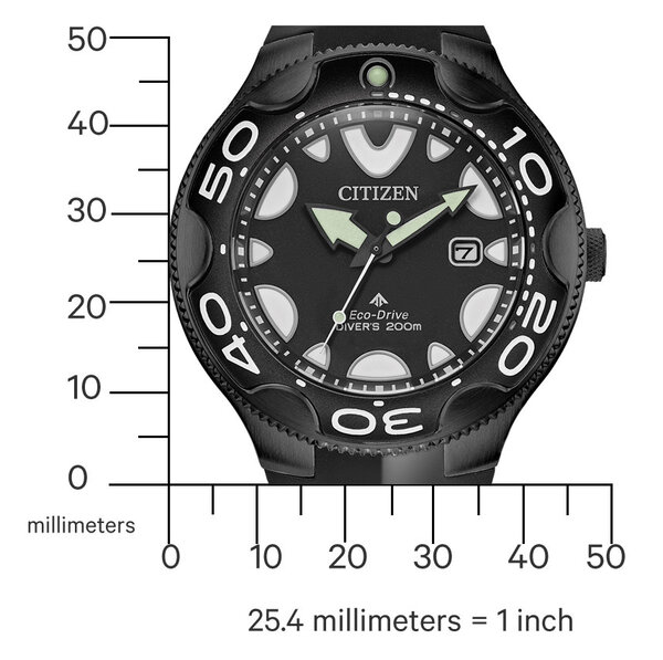 Citizen Citizen BN0235-01E Promaster Orca diver watch