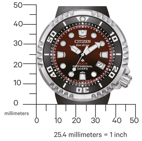 Citizen Citizen BN1024-01Z Promaster Marine watch