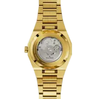 Paul Rich Paul Rich Frosted Star Dust II Gold Red FSDA07 Automatikuhr