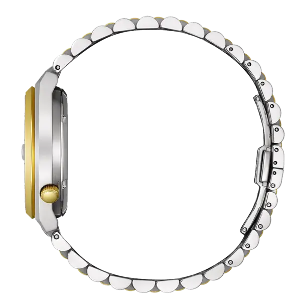 Citizen Citizen NK0024-54X Tsuyosa automatic watch