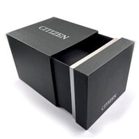 Citizen Citizen AR3120-24L Eco-Drive Suratto watch