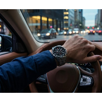 Swiss Alpine Military Swiss Alpine Military 7043.9137 men's watch 46 mm