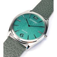 Citizen Citizen AR3120-32X Eco-Drive Suratto watch