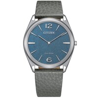Citizen Citizen AR3120-24L Eco-Drive Suratto watch