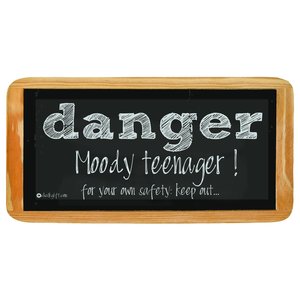 Hanging sign Danger Moody teenager! For your own safety: keep out