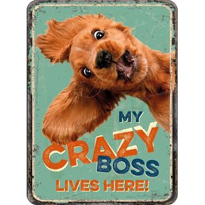 Metalen magneet My Crazy Boss Lives Here 5,5x7,5 cm