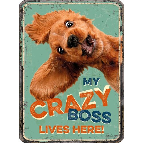 Metalen magneet My Crazy Boss Lives Here 5,5x7,5 cm