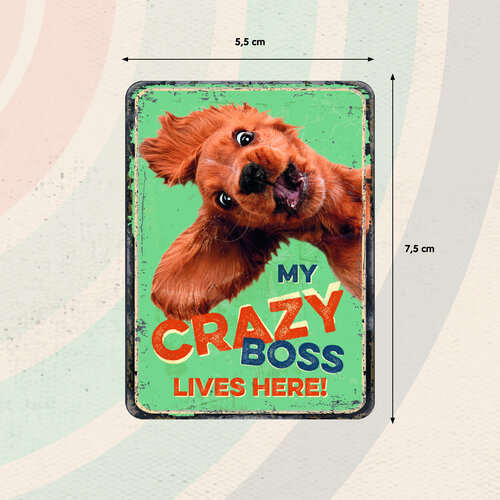 Metalen magneet My Crazy Boss Lives Here 5,5x7,5 cm