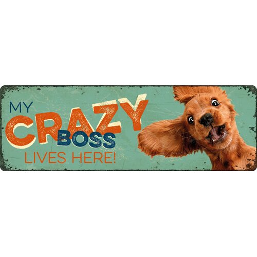 Metalen bord My Crazy Boss Lives Here! 27x9 cm