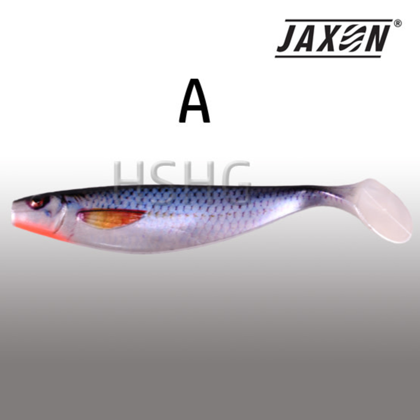 Jaxon Intensa MAX soft lure - Hengelsport het Gooi