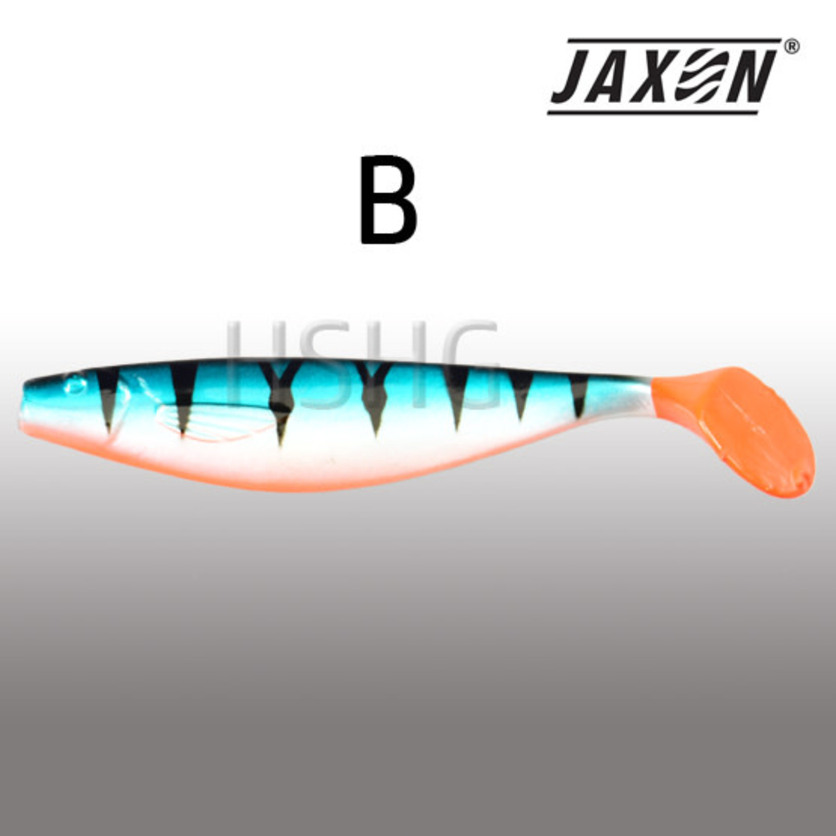 Jaxon Jaxon Intensa MAX soft lure