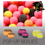 Pop up boilies