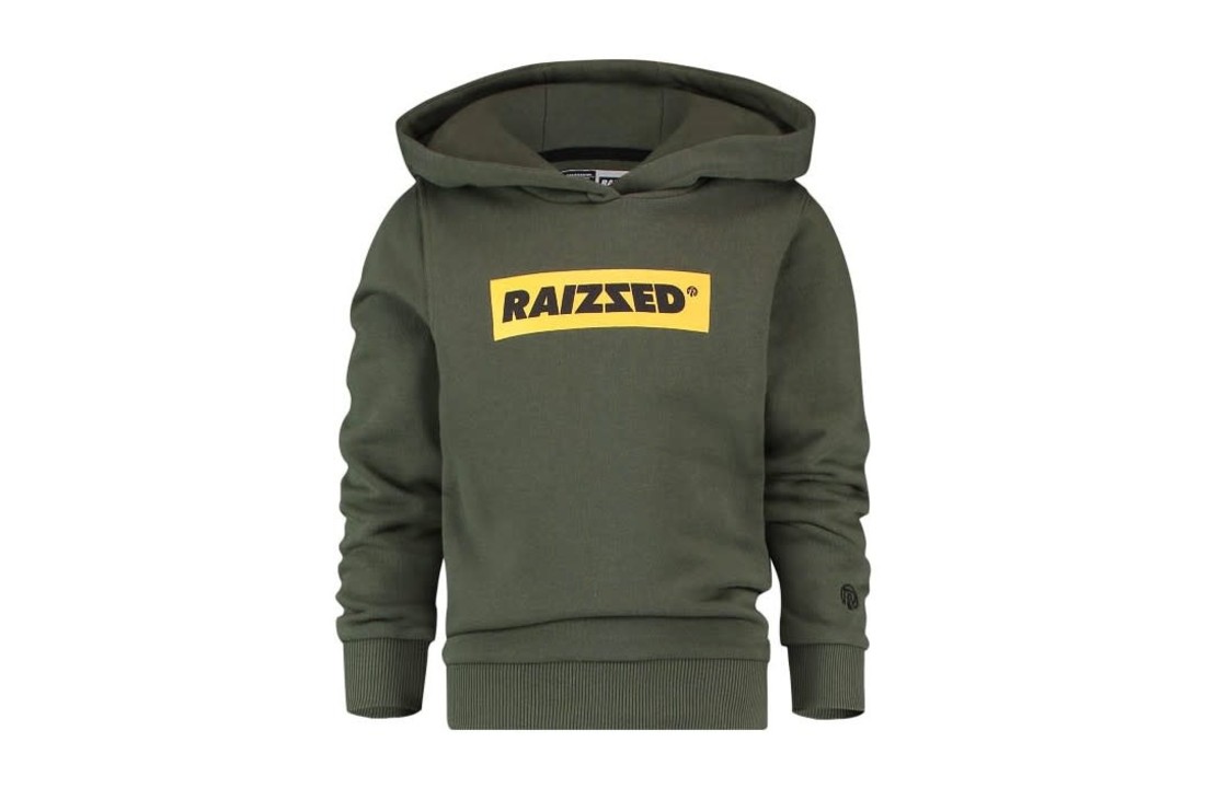 Sweater New York Green