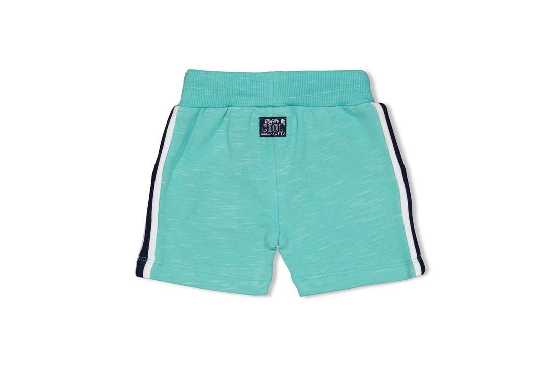 Short - Team Icecream - Mint melange