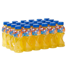 Aquarius Aquarius Orange  petfles (24x33 cl)