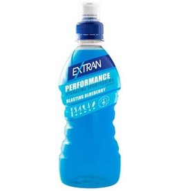 Extran Blueberry 24x33cl