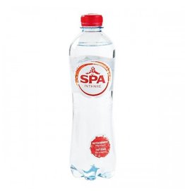 Spa Spa Rood PET (24x0,50cl)