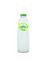 Spa Spa Citroen (krat 28x25cl)