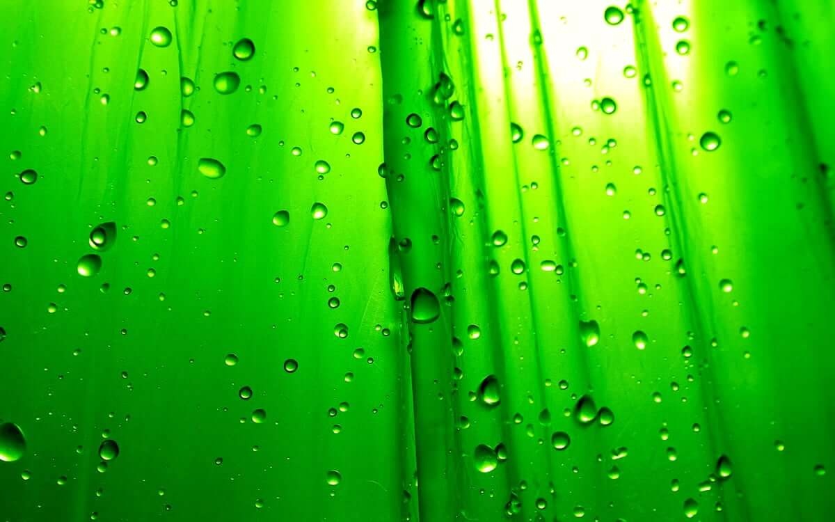 Help! Algae growth in the water tank of your coffee machine