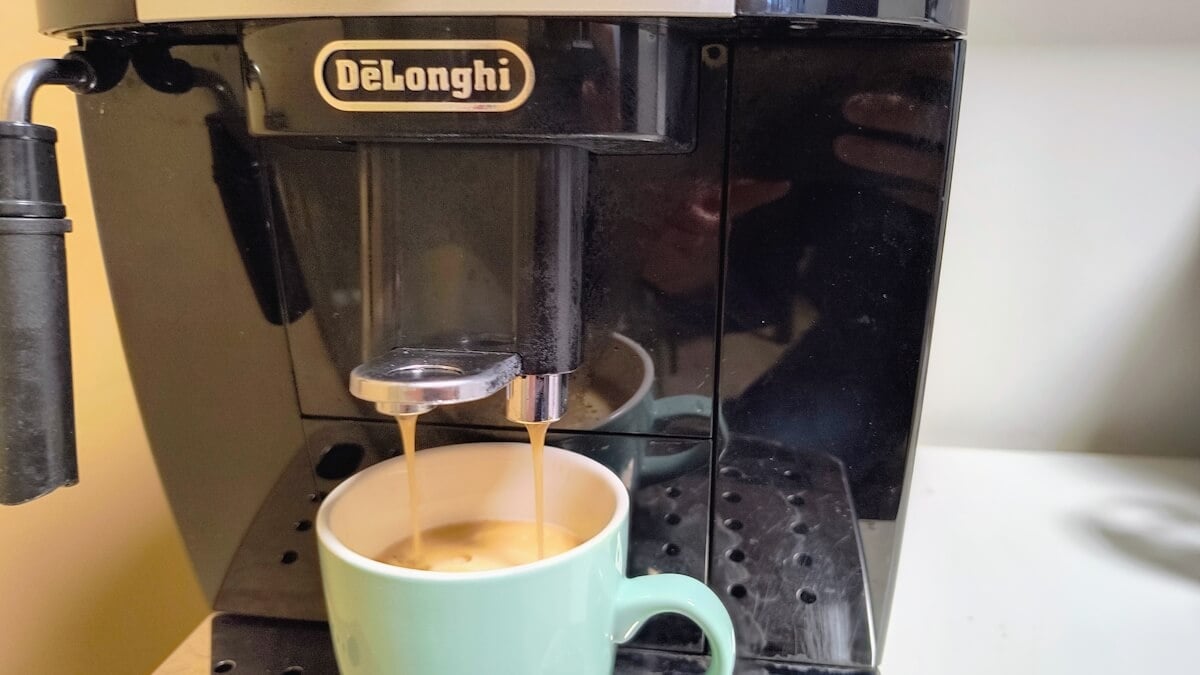 DeLonghi Magnifica S temperature setting