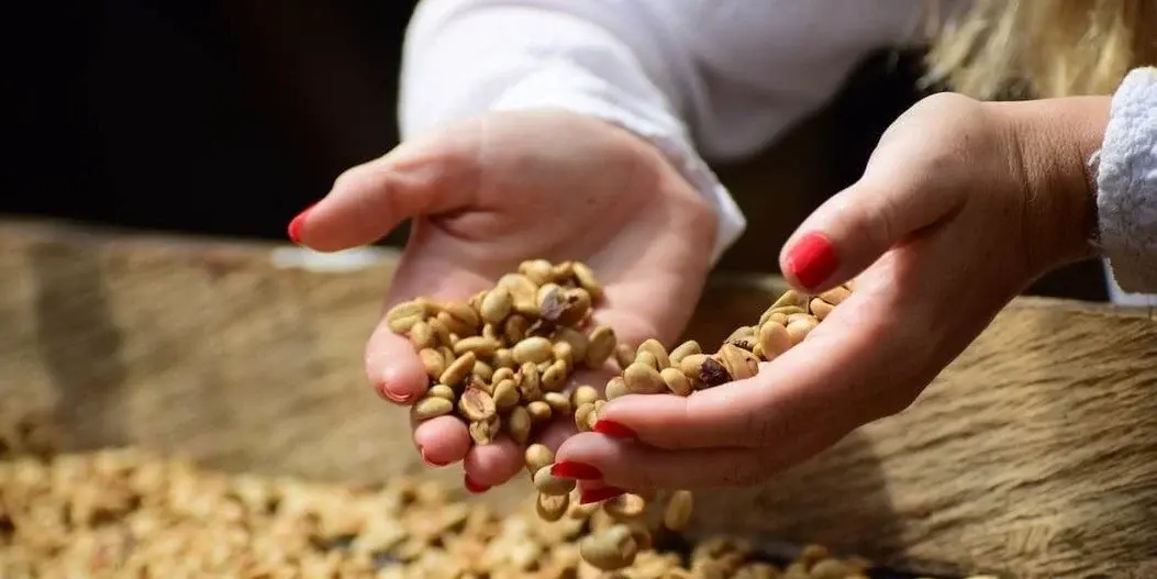 Waarom is het belangrijk om een koffie met keurmerk te kopen?