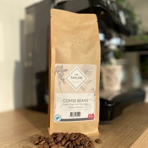 MR TAYLOR Coffee Beans Single Origin Nicaragua – 250 gram