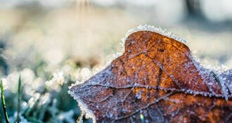 Eccellente Wintersale - keuzekorting