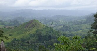 Wat betekent Strictly High Grown (SHG) koffie?