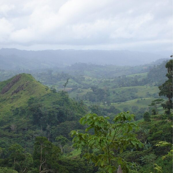 Nicaragua Espressobonen 1000g – 100% Arabica, Zacht & Romig