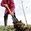 Bijdrage aan bomen planten