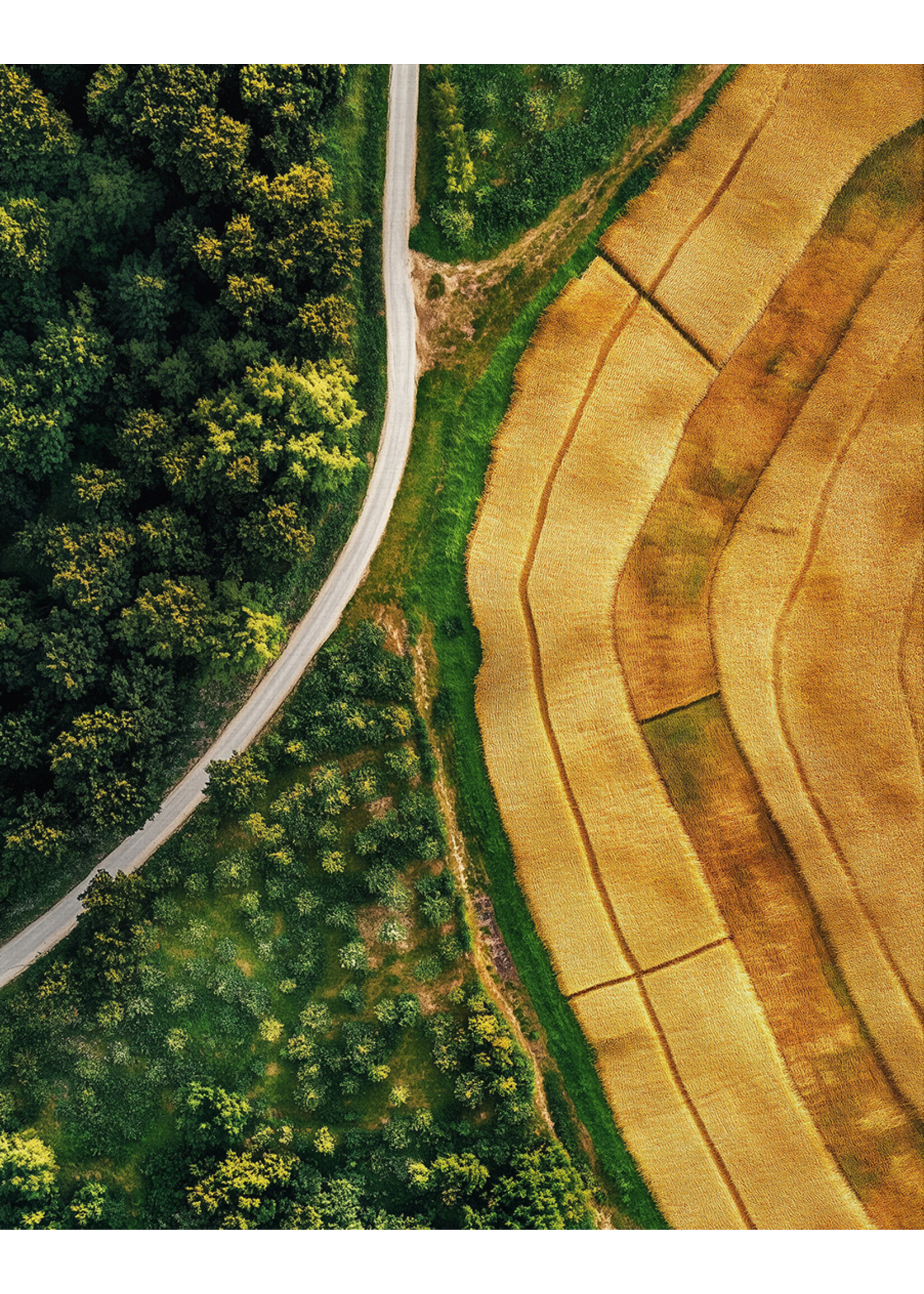 Luchtfoto Weilanden Posters | Unieke Landschapsfotografie voor jouw interieur