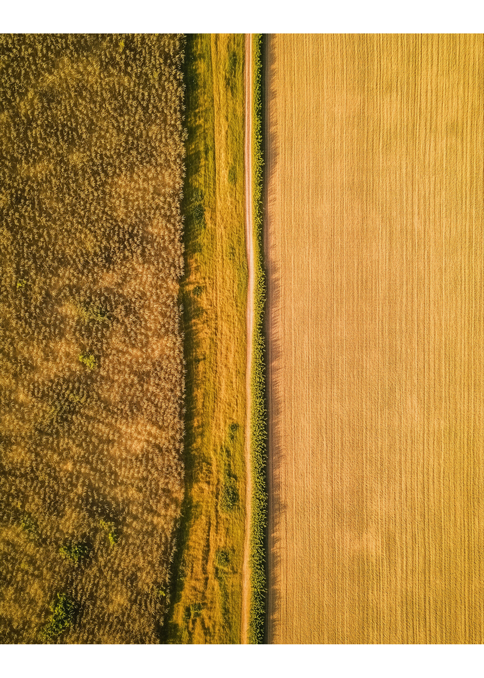 Luchtfoto graan | Unieke Landschapsfotografie voor jouw interieur