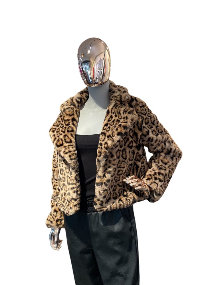 USA Animal Print Jacket-Camel 80299