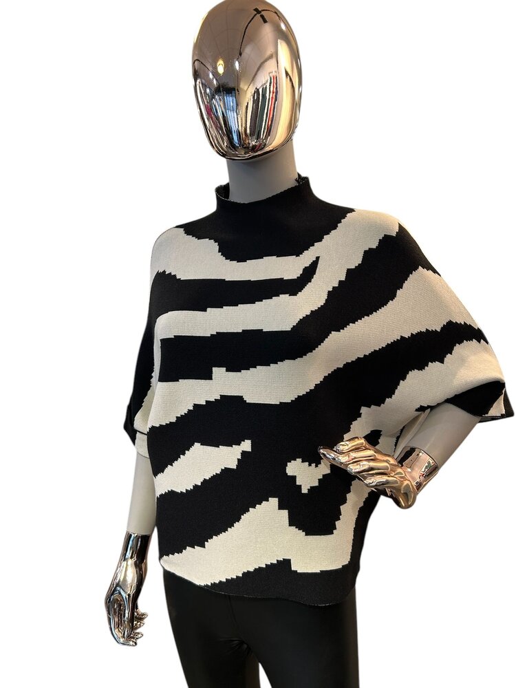 Paris Viscose Zebra Sweater-3050
